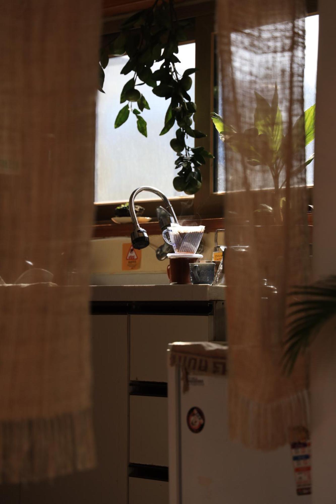 Shanti Shanti Guest House Чеджу Екстериор снимка