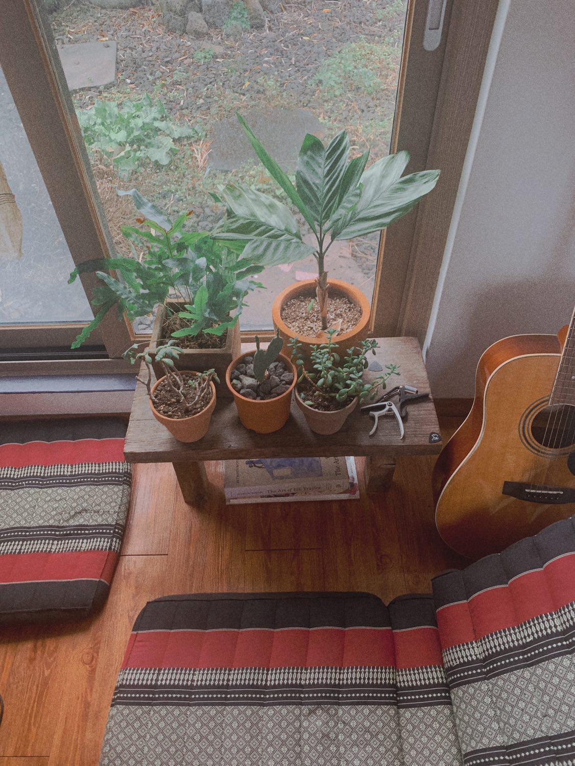 Shanti Shanti Guest House Чеджу Екстериор снимка