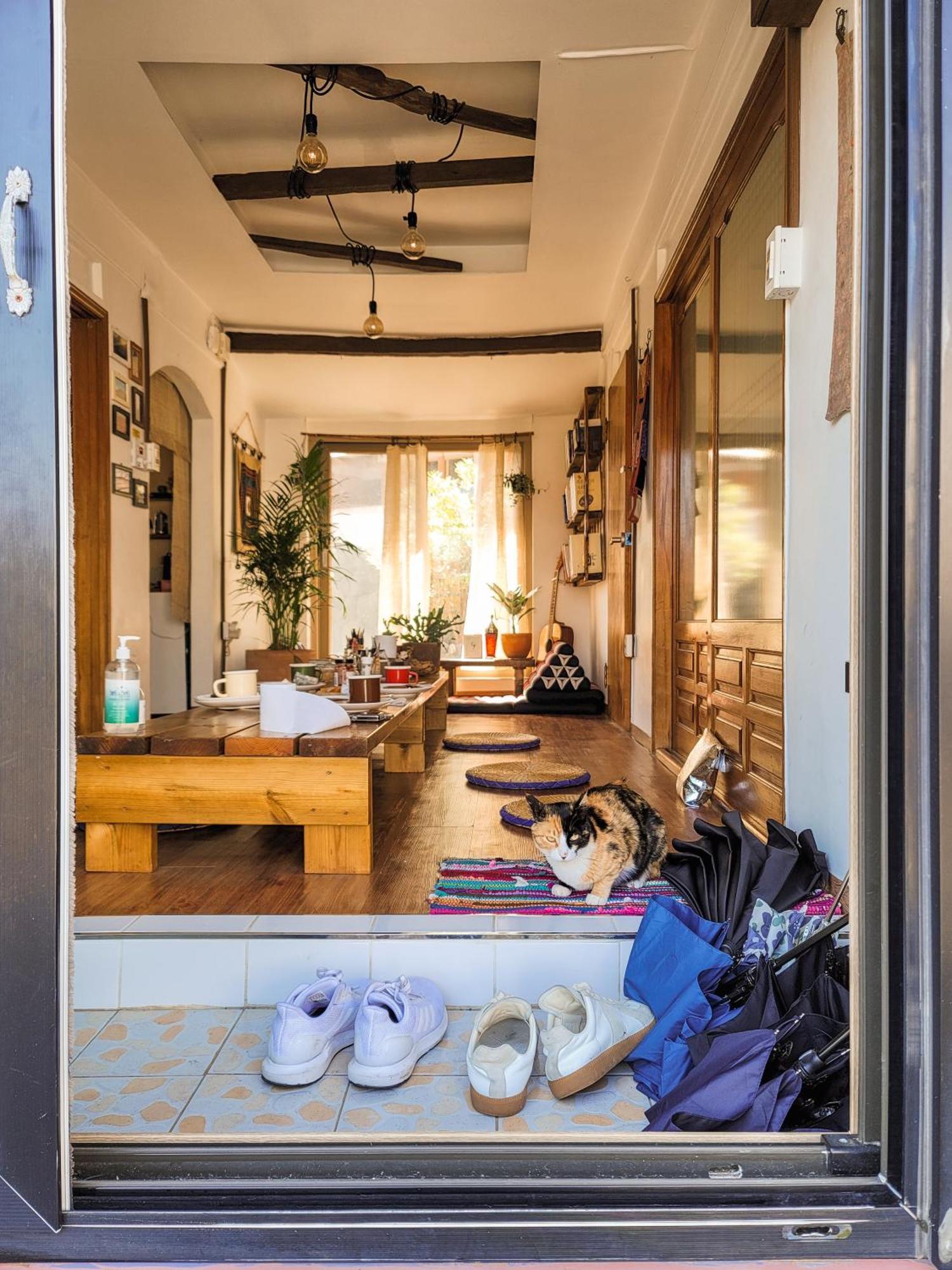 Shanti Shanti Guest House Чеджу Екстериор снимка